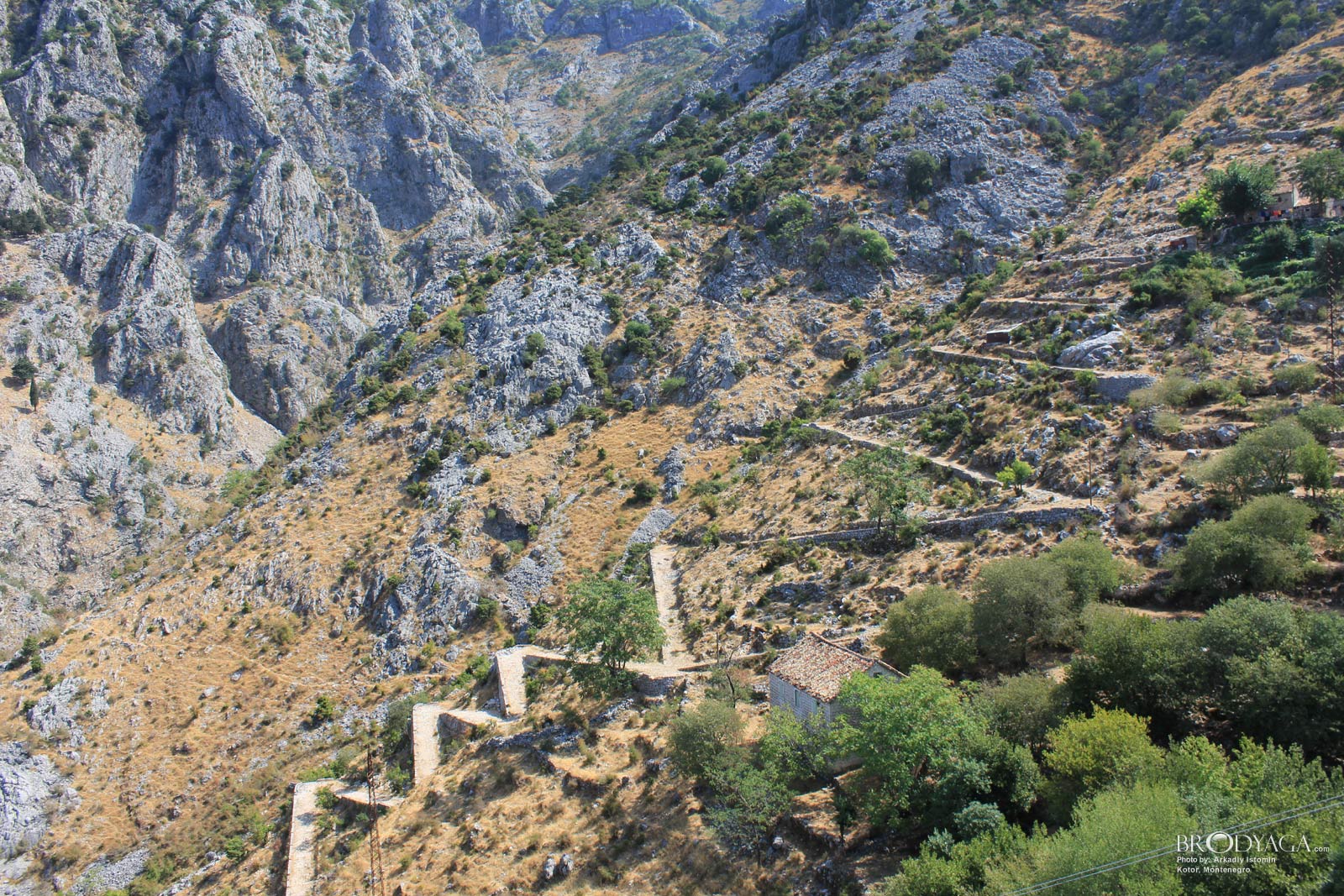 Kotor